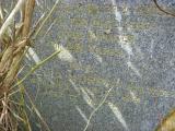 image of grave number 778271